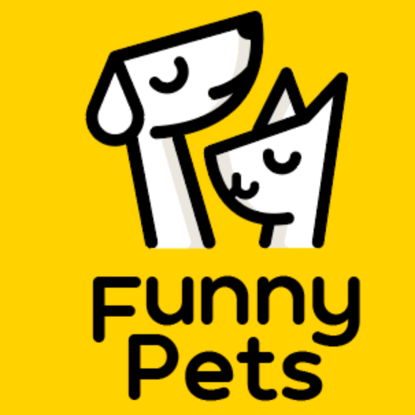 Funny Pets